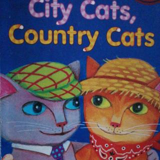 The story of letter c ---city cats country cats