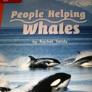 People Helping Whales~Winnie