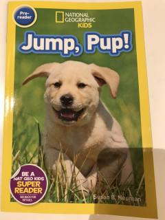 Jump, Pup!