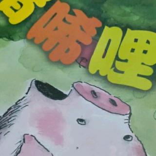 小猪唏哩呼噜