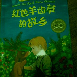 红色羊齿草的故乡(17)