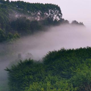 孙元德作品《感知秦岭》（外一首）