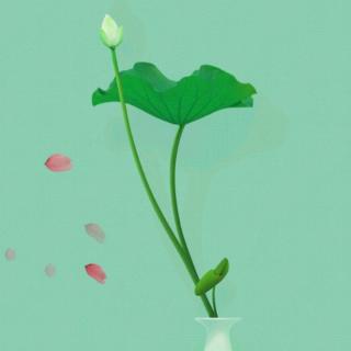 李奕辰英语第1-8课10.3打卡