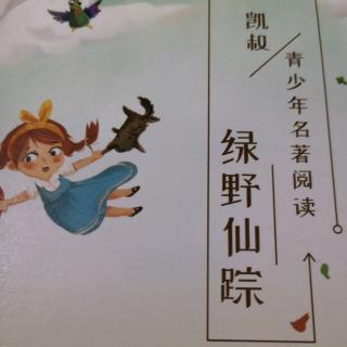 《绿野仙踪》之拯救铁皮人 胆小的狮子