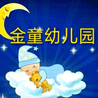 【金童幼儿园睡前故事19】《兔子🐰和袋鼠》