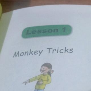 Lesson1    Monkey Tricks