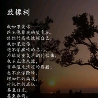 致橡树---舒婷