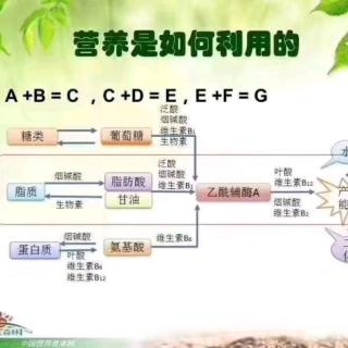 胰腺癌切除