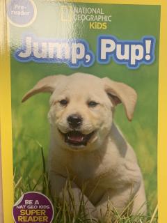 Jump pup！