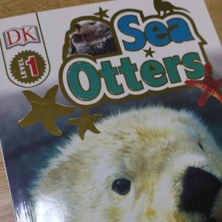 Sea otters by Darcy