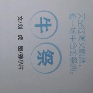 牛祭一一天空辽阔又蔚蓝，看一场生命的祭典。