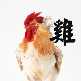 扒鸡、烧鸡？中国哪里的鸡好吃？