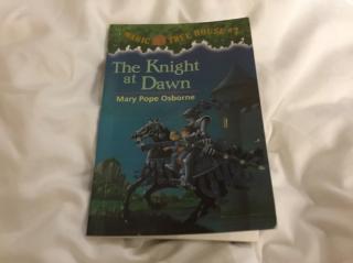 The Knight at Dawn -- The Dark Woods(3) + Leaving Again(1)