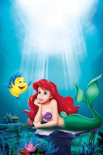 The little mermaid- The world above the sea