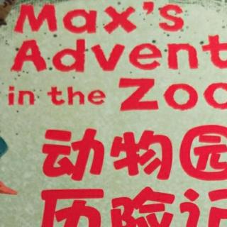 max's adventure in the zoo