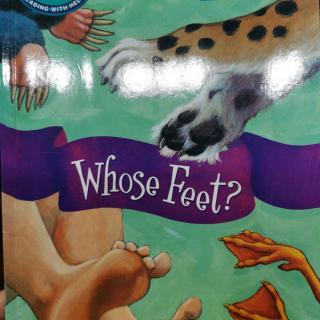 whose feet 4