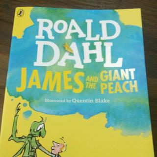 James And The Giant Peach Thity-five