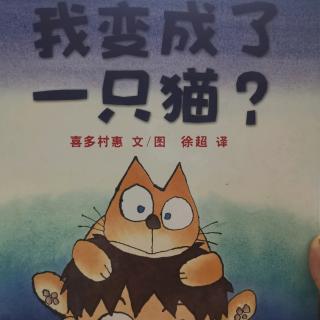 我变成了一只猫