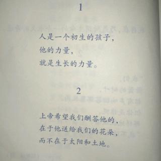 《飞鸟集》精选(4)