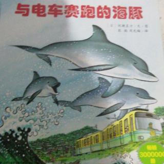 与电车赛跑的海豚🐬