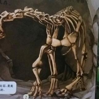 恐尤化石