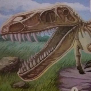 恐龙骨组织上的年轮