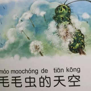 毛毛虫🐛的天空～毛毛虫的天空