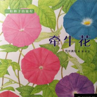 绘本《牵牛花》【日】荒井真纪