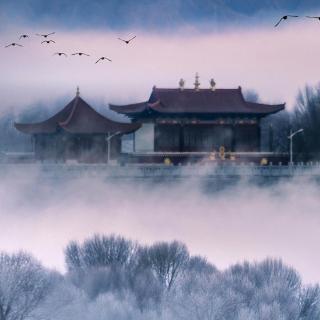 在牛肚子里旅行