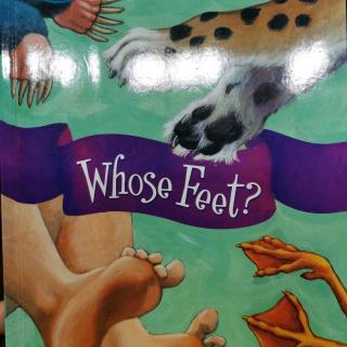 whose feet 6