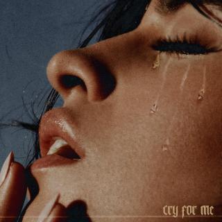Camila Cabello——Cry for Me