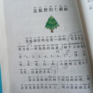 23号徐有哲阅读蓝狐狸的迷宫之蓝狐狸的七棵树