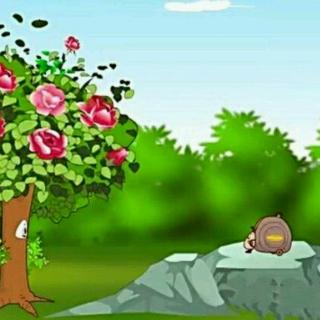 蜗牛和玫瑰树