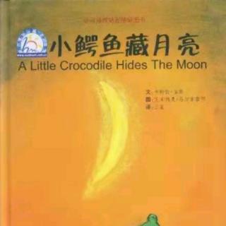 朱曲双语幼儿园的晚安故事286《小鳄鱼藏月亮🌙》