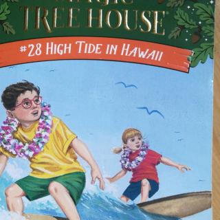 hawaii-chapter7
