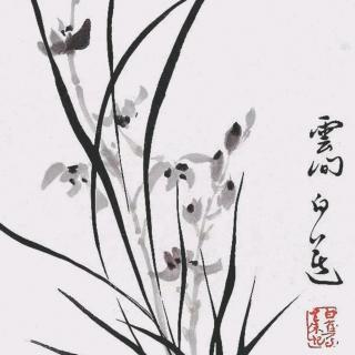 《兰花不是花   是我眼中人》