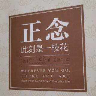 何为正念