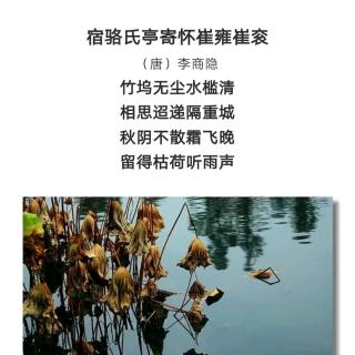 ［又又读诗·秋·秋荷］67.宿骆氏亭寄怀崔雍崔衮（李商隐）