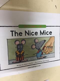 20191007 The nice mice