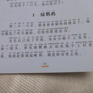 绿鹦鹉