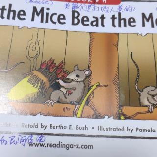 复述《how.the.mice.beat.the.men》