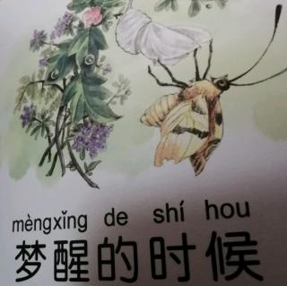 毛毛虫的天空～梦醒的时候