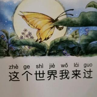 毛毛虫的天空～这个世界我来过（结束🔚）