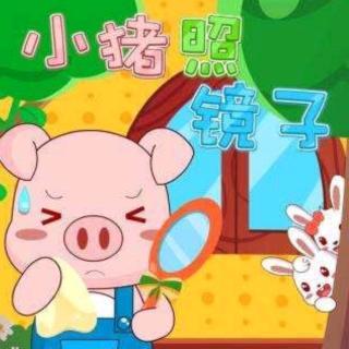 培文姐姐讲故事NO.334《小猪照镜子》