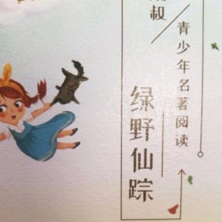 《绿野仙踪》之多萝西被抓了和怕水的女巫