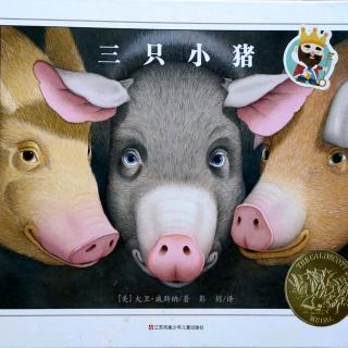 精选绘本阅读《三只小猪》