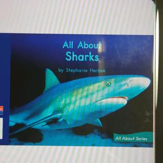 阮文博录制(G2-36  All  about  sharks)