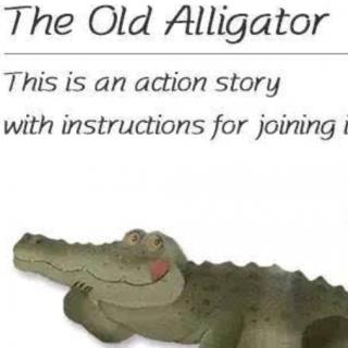 The oId alligator