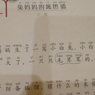 兔妈妈的篱笆墙