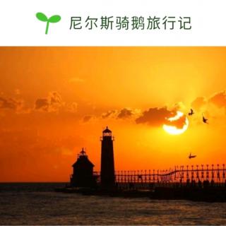 20191008尼尔斯骑鹅旅行记~［瑞典］拉格洛芙二